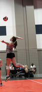 Vortex Volleyball Club 2025:  #5 Bailey Chapman 